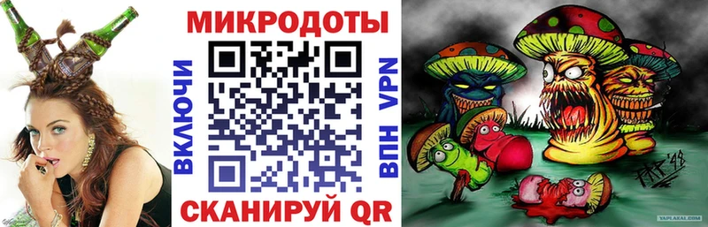 Псилоцибиновые грибы Psilocybe  закладка  MEGA как войти  Ядрин 